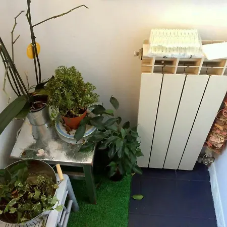 Green Garden